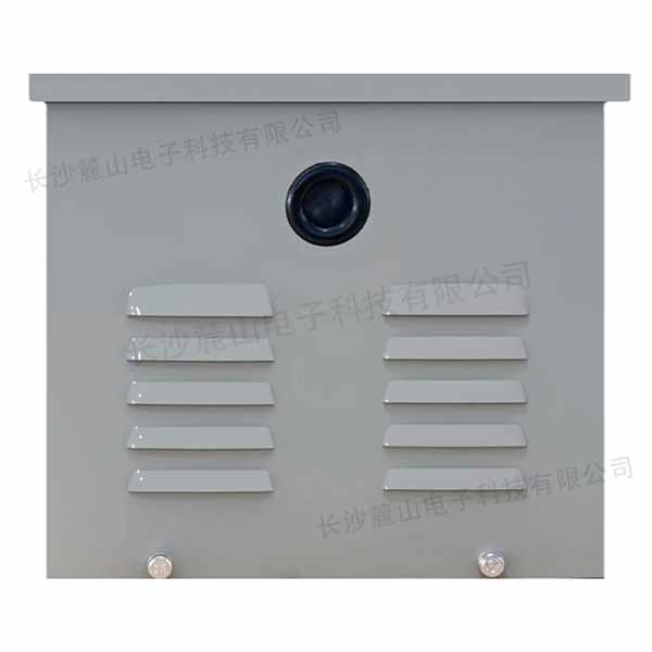 DGFL-300VA 220V-220V